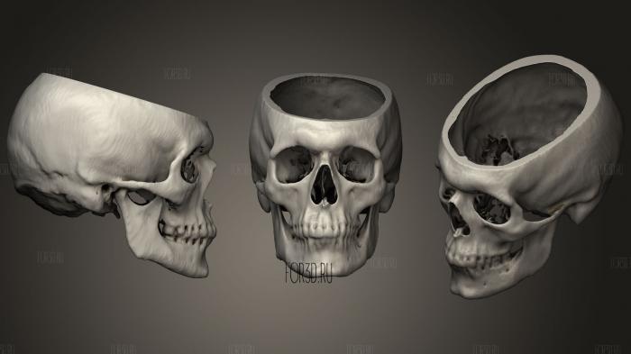 Skull Male 40yo stl model for CNC
